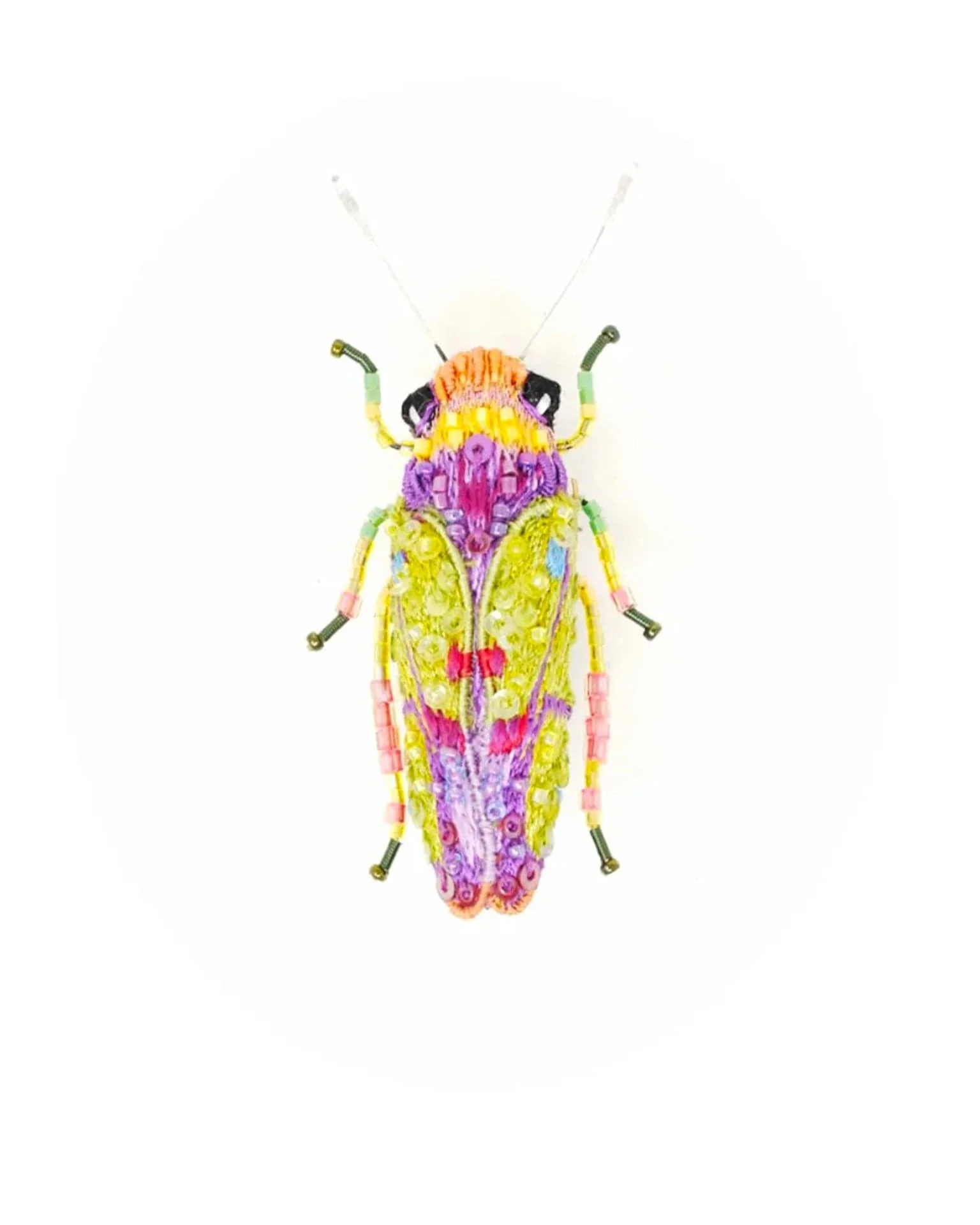 Sharpshooter Beetle Brooch Pin