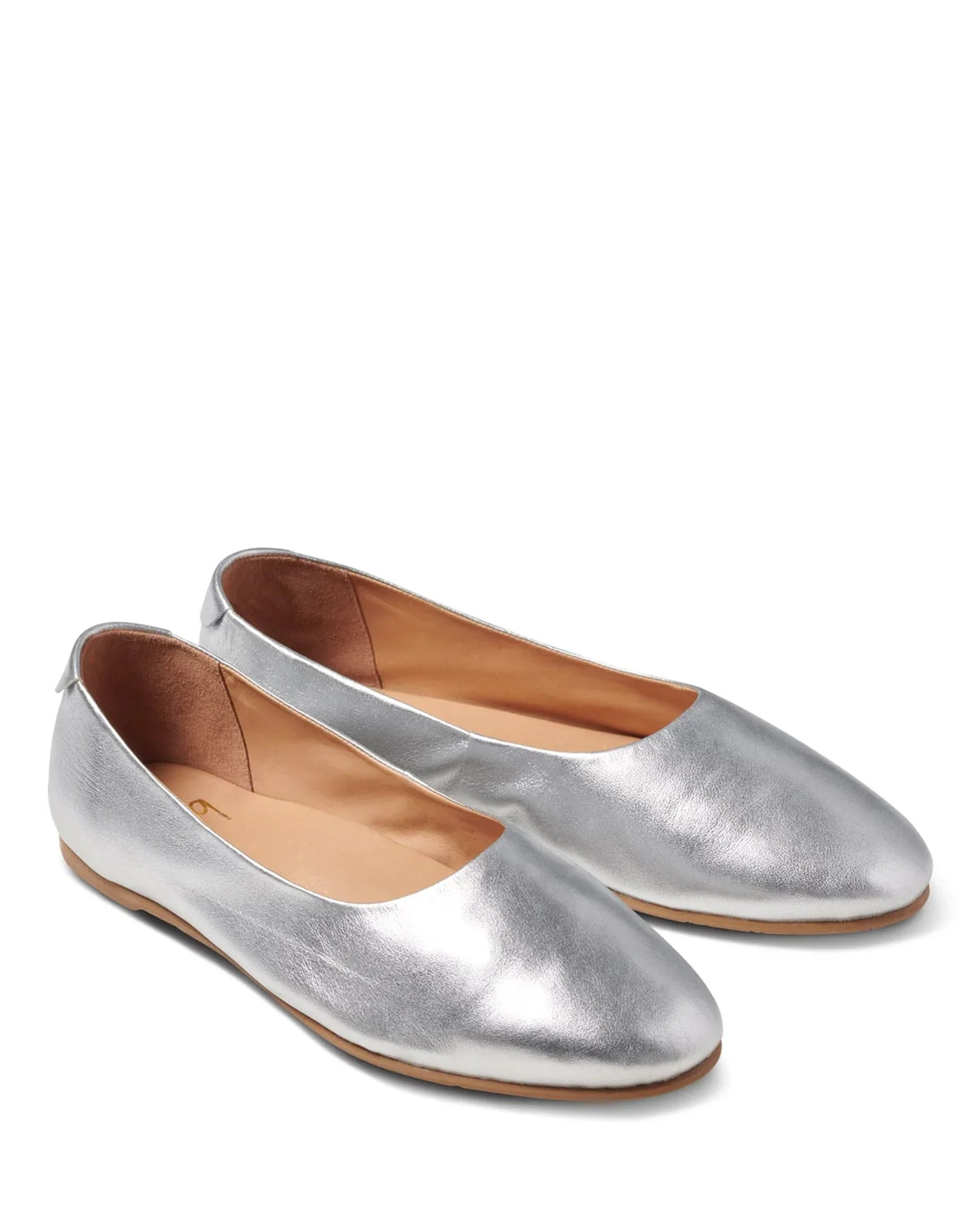 Swiftlet in Silver
